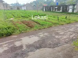 TANAH DATAR DI CANGKUANG SOREANG BANJARAN