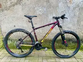 MTB/Sepeda Gunung Polygon Premier 4 Upgrade