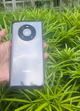 Huawei mate 40p lock id