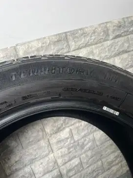 Ban Goodyear Wrangler Territory HT 255/55 R20