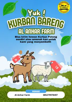 kambing kurban gagah