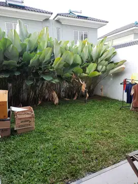 Dijual rumah mewah luas carport bercanopy di Daru Suvarna Sutera