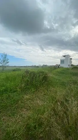 Disewakan Tanah Murah 1200 m2 dekat pantai Seseh