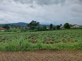 Tanah murah parung view gunung cocok berkebun dan villa