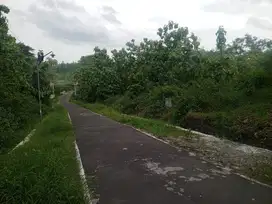 Dijual tanah dijeruk sawit gondangrejo karanganyar