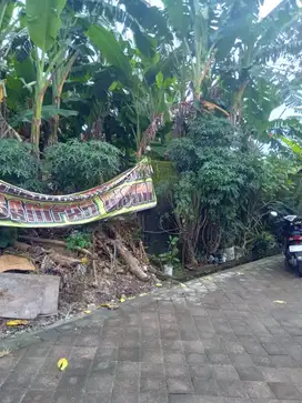 DIJUAL TANAH LOKASI MUDING KEROBOKAN  KUTA UTARA