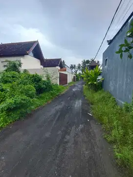 Dijual Tanah Size Kecil di Lodtunduh Dekat Central Ubud