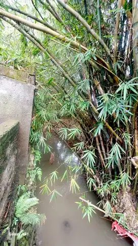 DIJUAL TANAH BONUS BANGUNAN LAMA LOKASI BERAWA