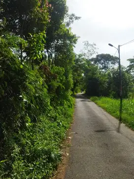 Di jual tanah kebun murah Cirorek Cilawu Garut
