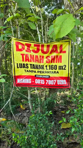 DIJUAL TANAH SIAP BANGUN - 1.160 M² di Lendag DIY - TANPA PERANTARA