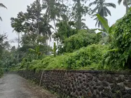 Dijual Tanah Perkebunan Produktif