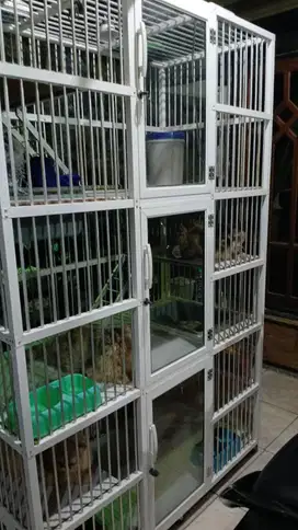 RUMAH KUCING 3 SUSUN 3 LANTAI