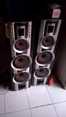 Speaker Polytron