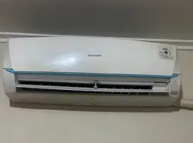 Ac sharp 1/2 pk