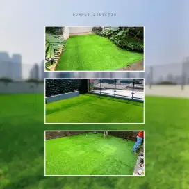 Rumput Premium Tahan Lama