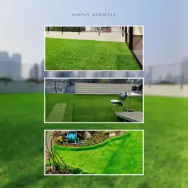 Rumput Tanpa Perawatan