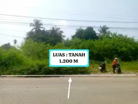 DI JUAL TANAH MURAH SETRATEGIS NEMPEL JALAN UTAM ANGKOT.