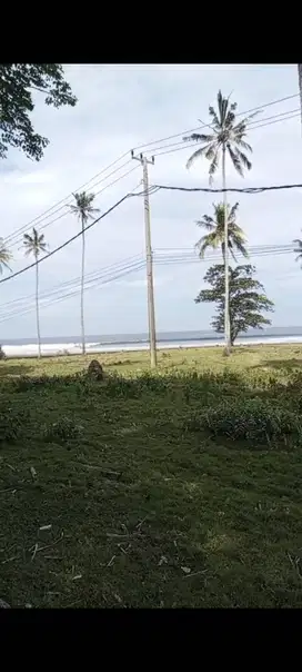 Tanah 3 Hektar Pinggir Jalan & Pantai – Selemadeg, Tabanan