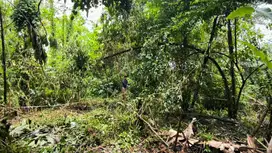 Jual BU Murah ! Tanah sebrang pantai Anyer. Cocok untuk investasi !