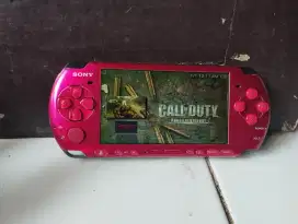 PSP 3000 segel            .