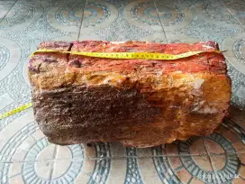 Batu fosil jati