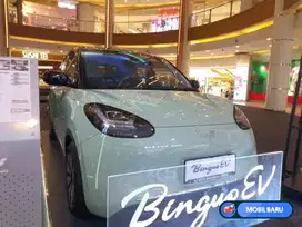 [Mobil Baru] Wuling Binguo Ev 410KM DP 5 Jt