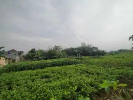 Tanah Kavling Bojonggede Cocok Untuk Investasi Legalitas SHM