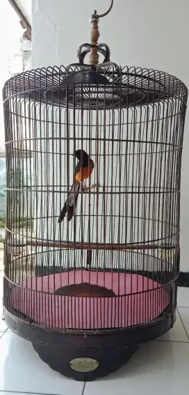 Jual murai batu medan full set