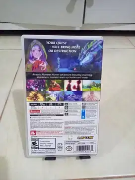 kaset nintendo swith monster hunter adventure
