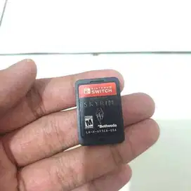 kaset nintendo switch skyrim