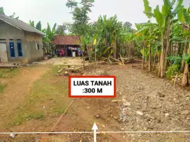 DI JUAL TANAH KEBUN HARGA MURAH