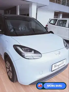 [Mobil Baru] WULING BINGUO EV TERMURAH SEJABODETABEK