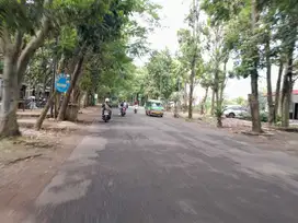 Tanah Cifor Bogor Cocok Untuk Usaha PInggir Jalan Aspal