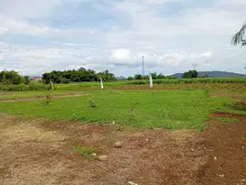 Harga Di Bawah 100 Jt-an Tanah kavling Menguntungkan Bogor