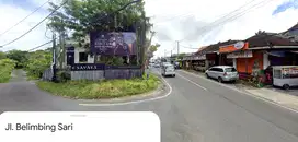Tanah STRATEGIS Jl Belimbing Sari Pecatu Uluwatu