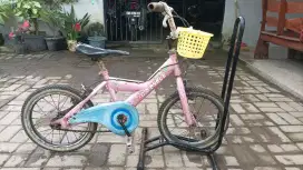 Wimcycle strawbery ukuran 16 siap gowes