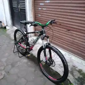 Polygon premier 5 istimewa