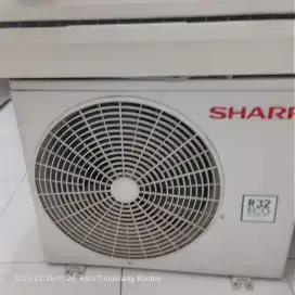 AC Sharp 1/2 PK
