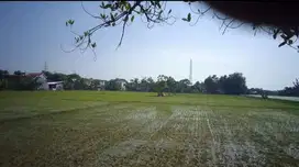 Tanah dijual lok strategis 0 km di Jl. Letda Sucipto, Perbon, Tuban