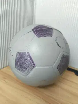 Bola Plastik Ukuran Sedang Warna Abu Ungu