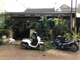 Kanopi bajaringan