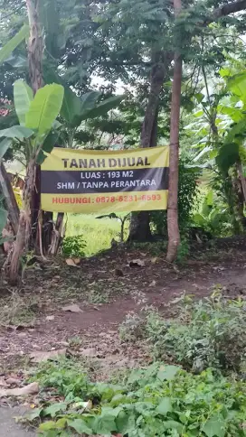 Tanah 4km Selatan Kampus UMY. 70 meter dari jalan bibis