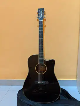 Gitar Tanglewood TW5 E BS