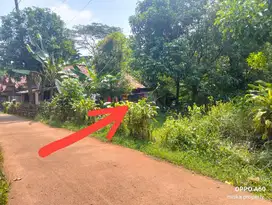 Dijual Tanah Kebun 360m² Jonggol Cileungsi Bogor Timur