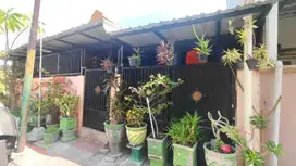 0604,58 lelang rumah Surabaya di sambikerep di sambirogo