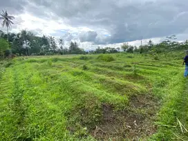 DIJUAL TANAH SAWAH SUBUR