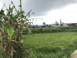 Dijual Tanah Strategis 1500 m² di Wonosobo – Siap untuk Investasi