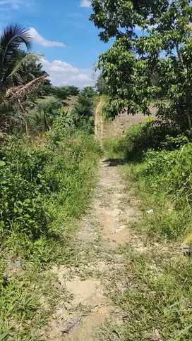 Sebidang Tanah di Jalan Toman Rumbai Bukit Pekanbaru