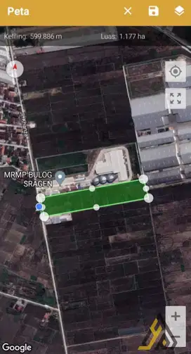 Tanah Luas di Masaran Sragen Dijual – Lebar Depan 45m, SHM