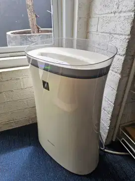 Sharp FP-F40Y air purifier.